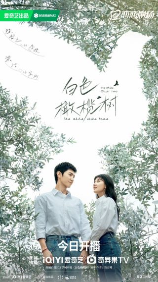 The White Olive Tree